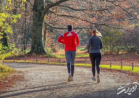 چطور با بدنی سالم به استقبال پاییز برویم؟ چطور با بدنی سالم به استقبال پاییز برویم؟